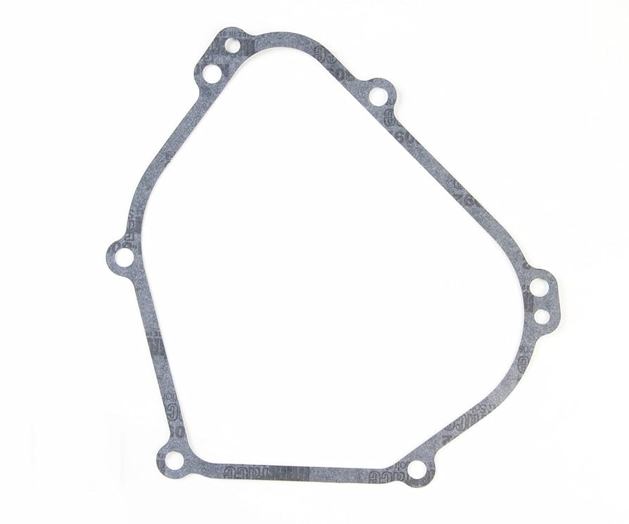 Amazon.com: Briggs & Stratton 699485 Crankcase Gasket
